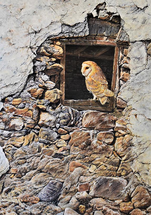 A New Home Barn Owl Painting by Alan M Hunt