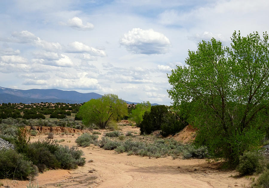 Dry Arroyo