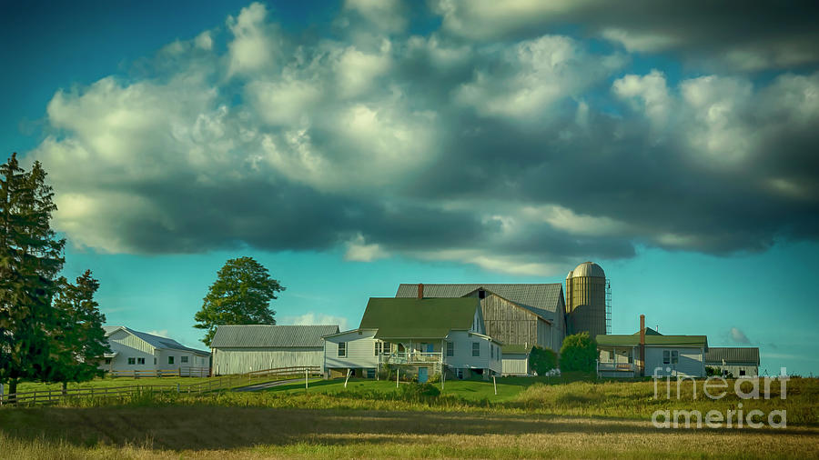 A New Wilmington Pennsylvania Amish Farm Photograph