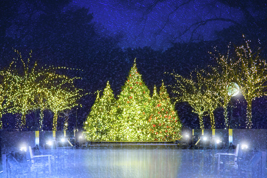 A New York Botanical Garden Christmas Photograph by Mark Andrew Thomas