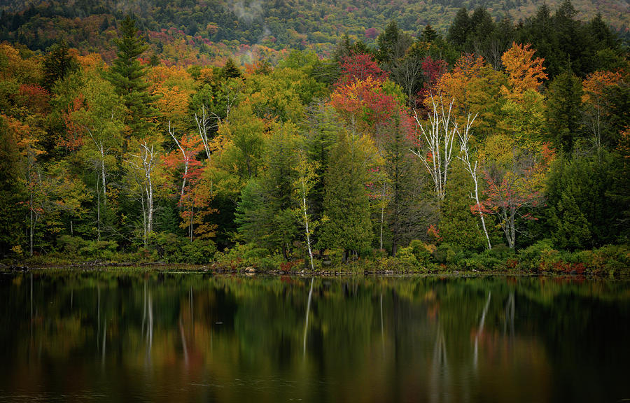 A New York Fall by Guy Coniglio A New York Fall by Guy Coniglio