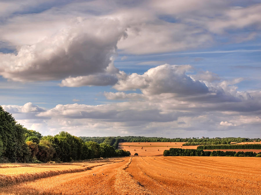 A Newly Harvested Field Under Scattered Photograph by Neil Howard