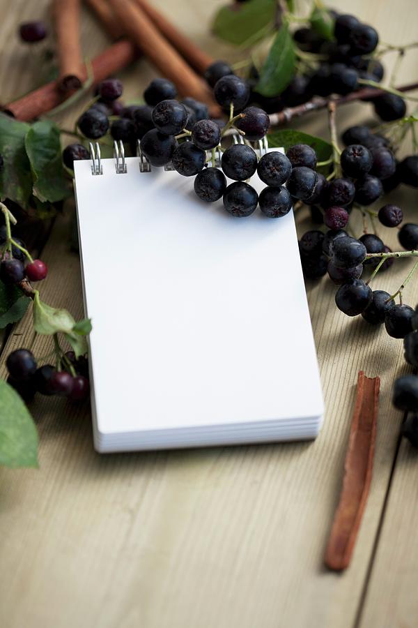 Fruit Photograph - A Notepad Surrounded By Fresh Aronia Berries by Schindler, Martina