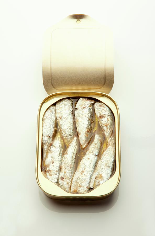 A Opened Tin Of Sardines Photograph by William Boch - Pixels