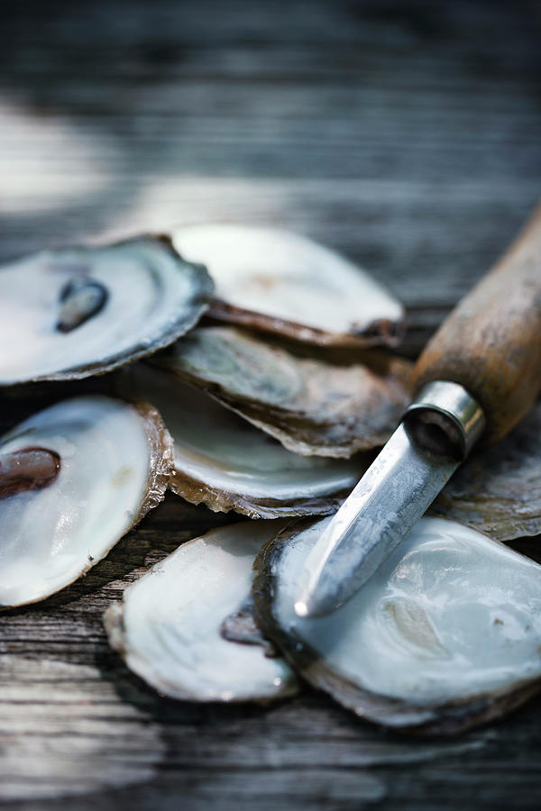 A Oyster Knife And Oyster Shells Photograph by Colin Cooke