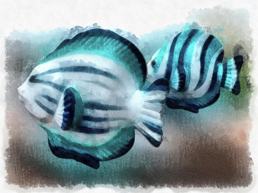 A Pair Of Angel Fish Digital Art by Leslie Montgomery