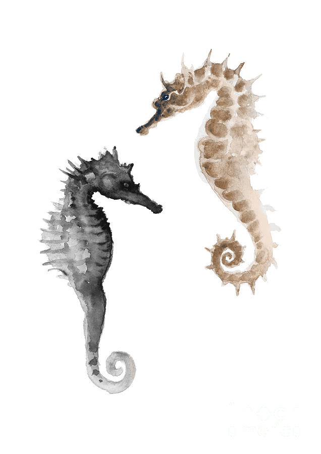 Seahorse Painting - A pair of grey and brown seahorses by Joanna Szmerdt