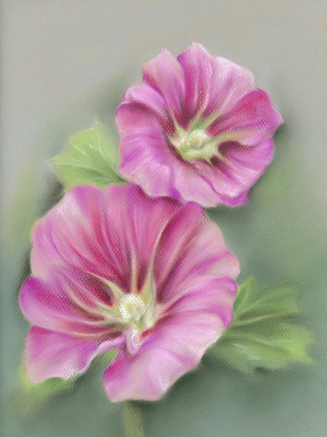 A Pair of Pretty Pink Hollyhocks by MM Anderson A Pair of Pretty Pink Hollyhocks by MM Anderson