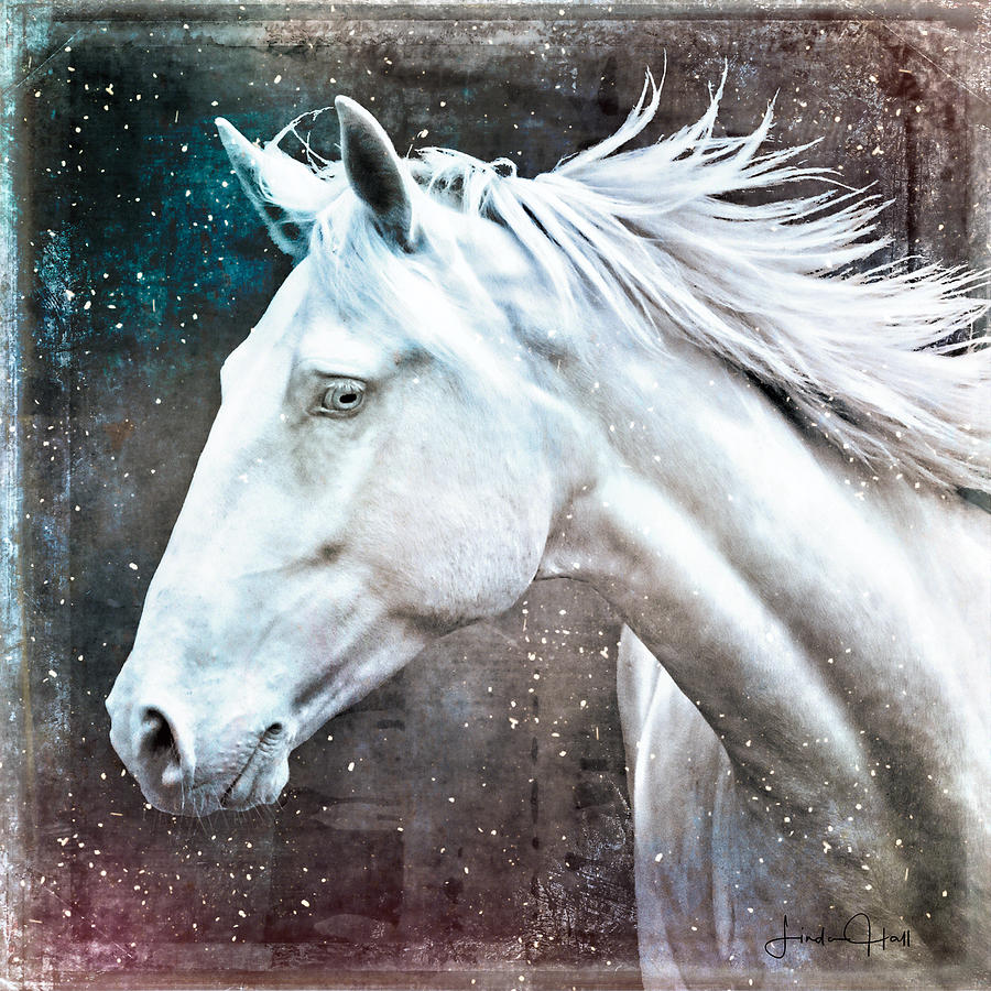 Animal Digital Art - A Pale Horse by Linda Lee Hall