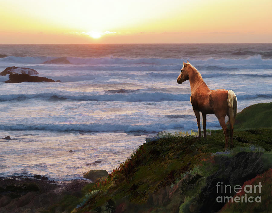 A Palomino Sunset by Melinda Hughes-Berland A Palomino Sunset by Melinda Hughes-Berland