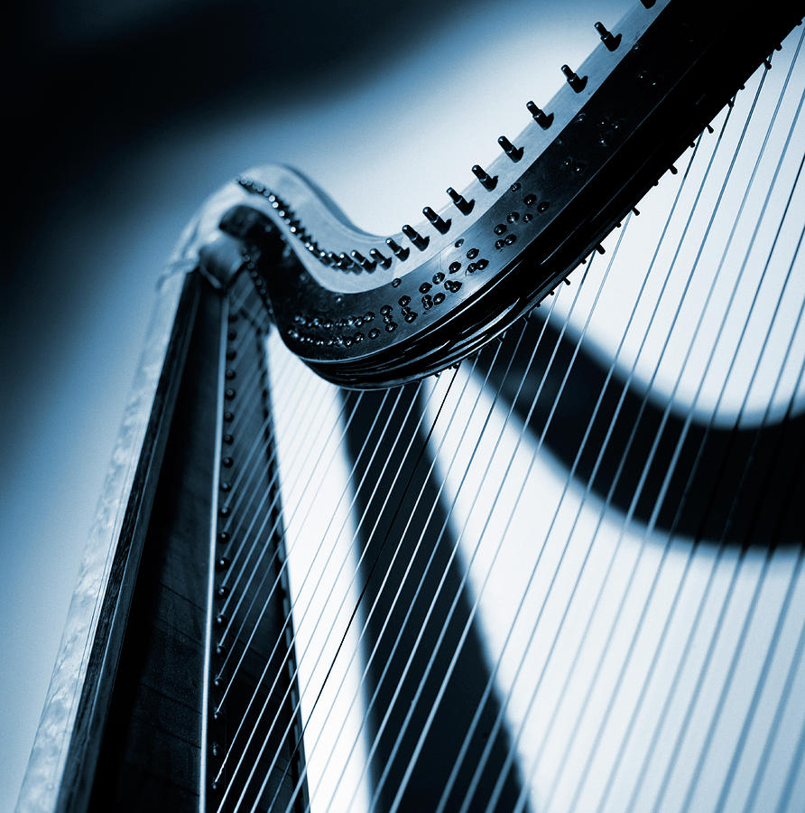 A Part Of A Harp, Close-up Photograph by Vince Reichardt