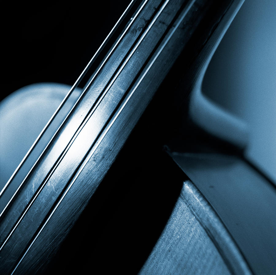 A Part Of A Violin, Close-up Photograph by Vince Reichardt