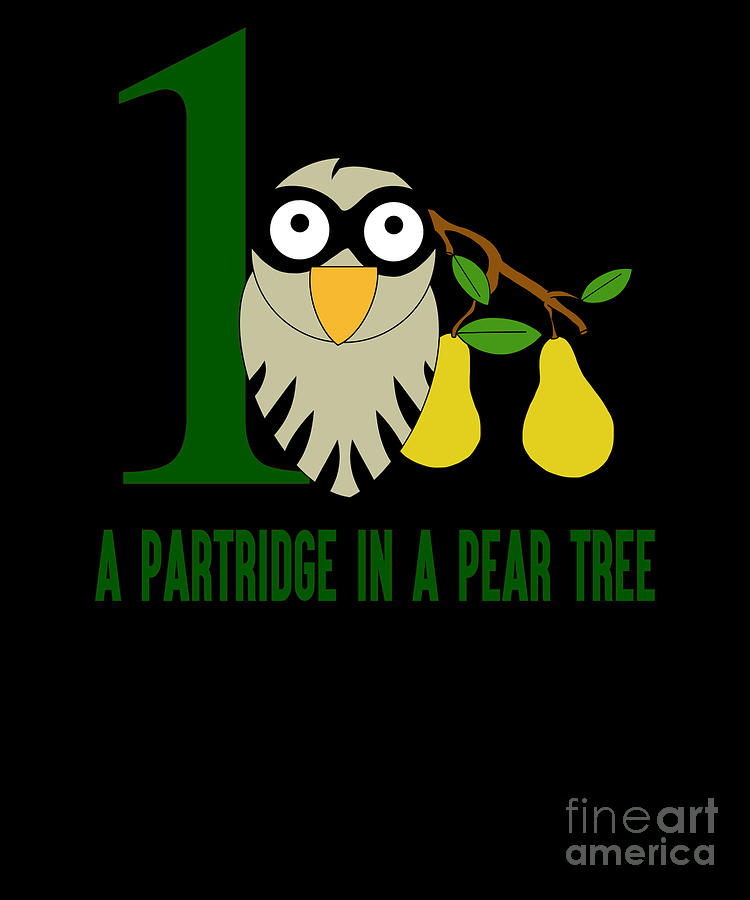 a partridge in a pear tree clipart