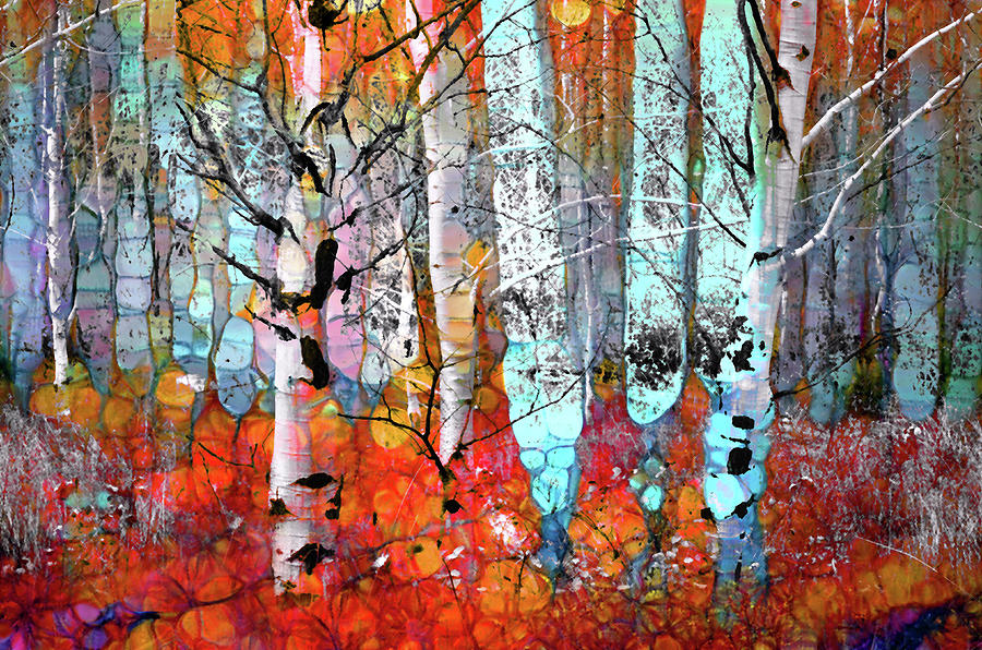 A Party in the Forest by Tara Turner A Party in the Forest by Tara Turner