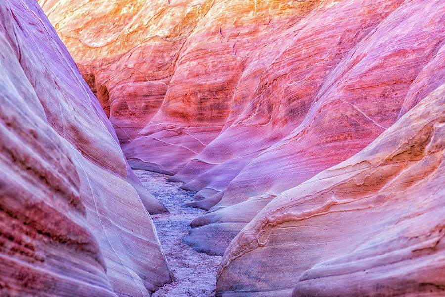 A Pastel Dream Valley of Fire State Park Photograph by Joseph S Giacalone