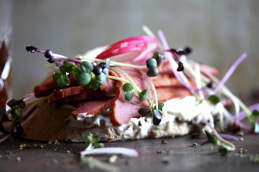 A Pastrami, Cress And Radish Sandwich Photograph by Milly Kay