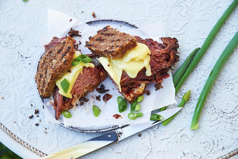 A Pastrami Sandwich With Cheese Photograph by Hans Gerlach - Fine Art ...