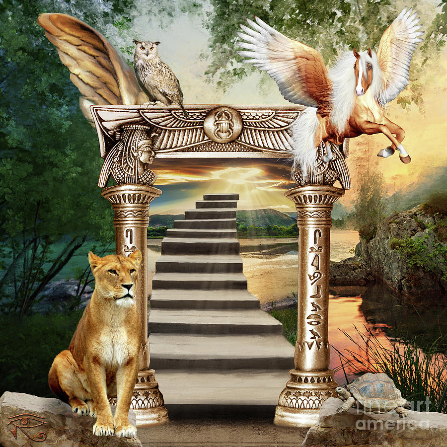 A Path to Enlightenment by Anne Vis A Path to Enlightenment by Anne Vis