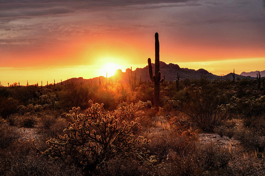 A Peachy Sonoran Sunset Photograph by Saija Lehtonen - Fine Art America