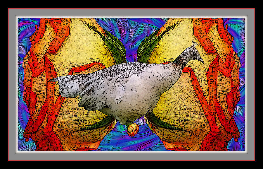 A Peahen And A Rose Mixed Media