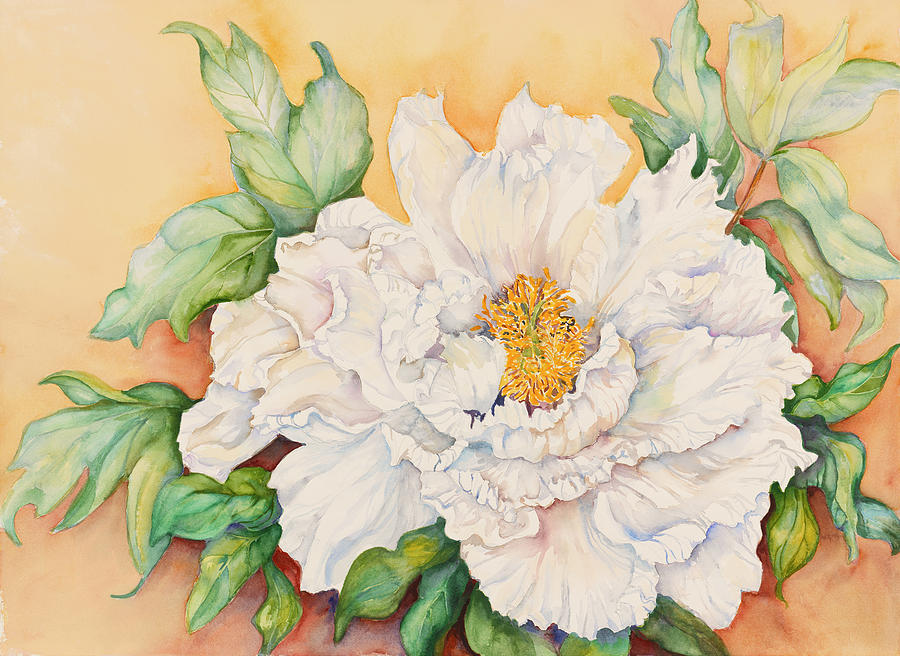 A Peony Study Painting by Joanne Porter - Fine Art America