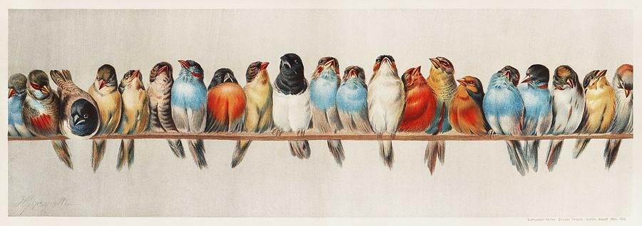 A Perch of Birds  1880 by Hector Giacomelli  1822-1904  Painting by Celestial Images