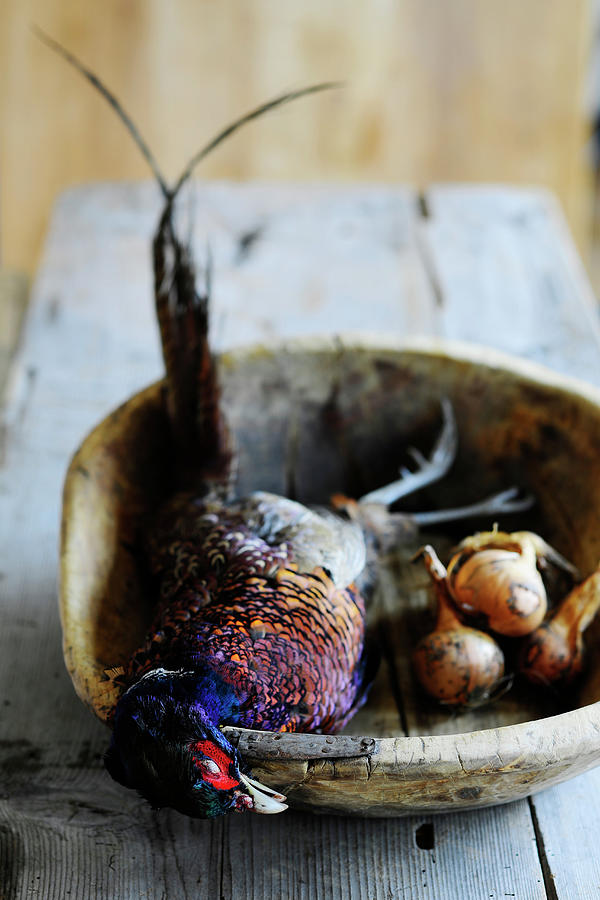 A Pheasant In A Wooden Bowl Photograph by Tanja Major