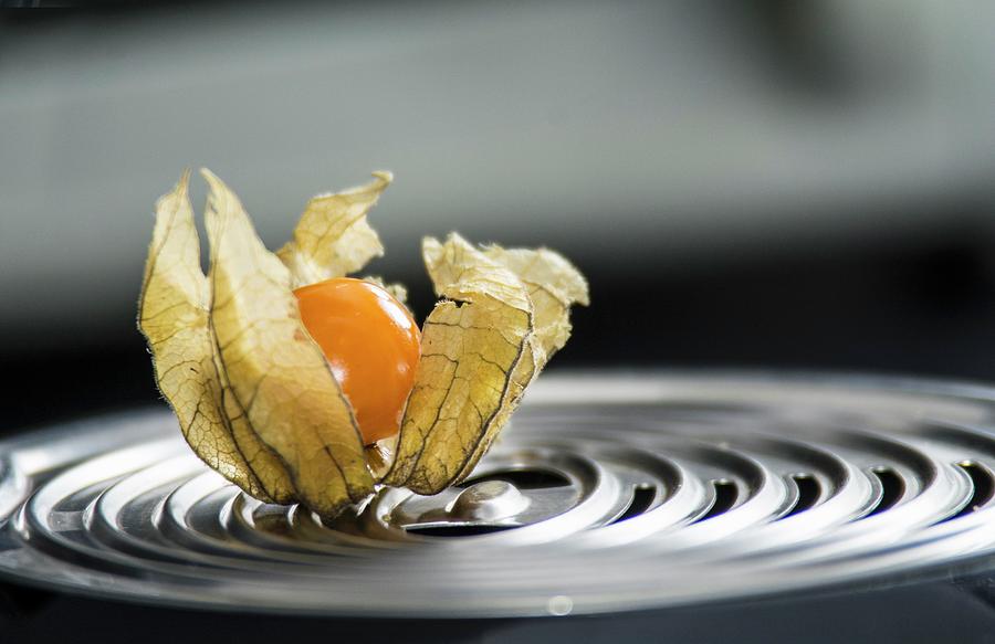 A Physalis On A Coffee Machine Photograph by Chris Schfer