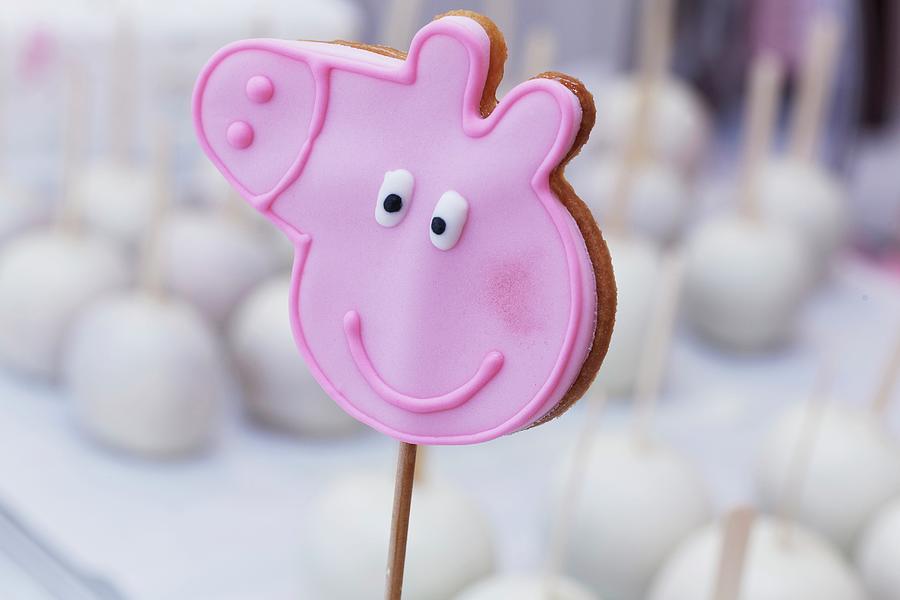 Candy Photograph - A Pick Pig Biscuit On A Stick by Karl Stanzel