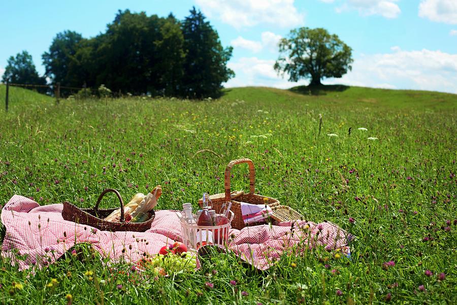 A Picnic In A Meadow Of Wild Flowers Photograph by Fotos Mit Geschmack