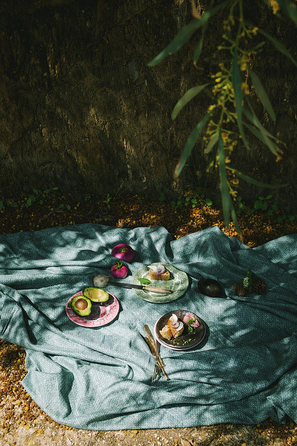 A Picnic Under A Tree, With A Picnic Cloth On The Ground With Plates, Avocado, Bread Photograph by Lucie Beck