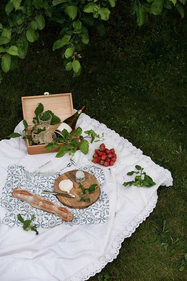 A Picnic With Cheese, Baguette, Strawberries And Wine Photograph by Justina Ramanauskiene