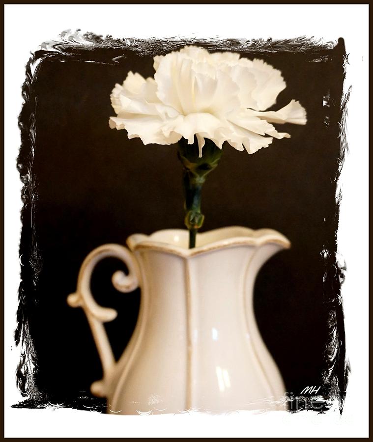 Photo Photograph - A Picture Of A Flower In A Pitcher by Marsha Heiken Photo Photograph - A Picture Of A Flower In A Pitcher by Marsha Heiken