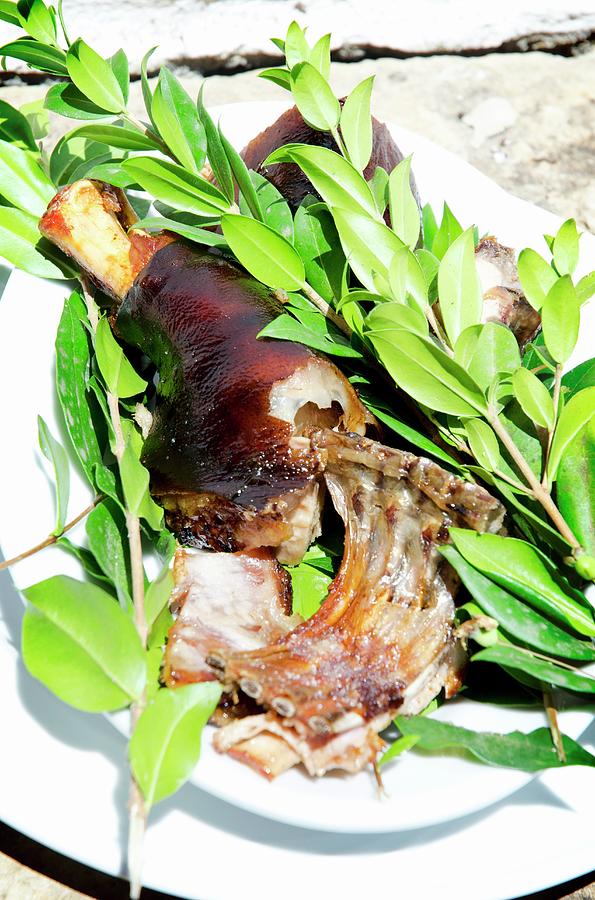 A Piece Of Roast Suckling Pig On A Plate With Sprigs Of Fresh Myrtle Spurge sardinia Photograph by Jamie Watson
