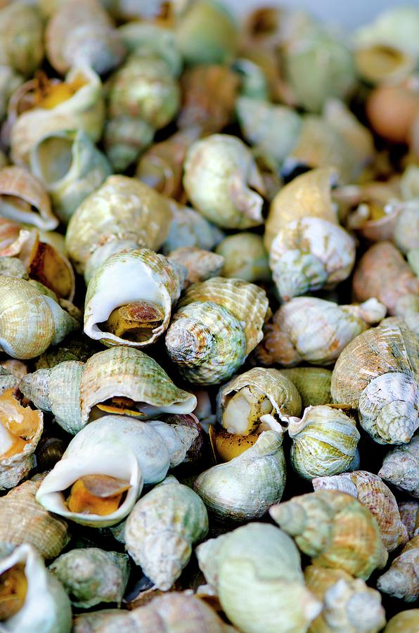 A Pile Of Whelks At A Market Photograph by Jamie Watson