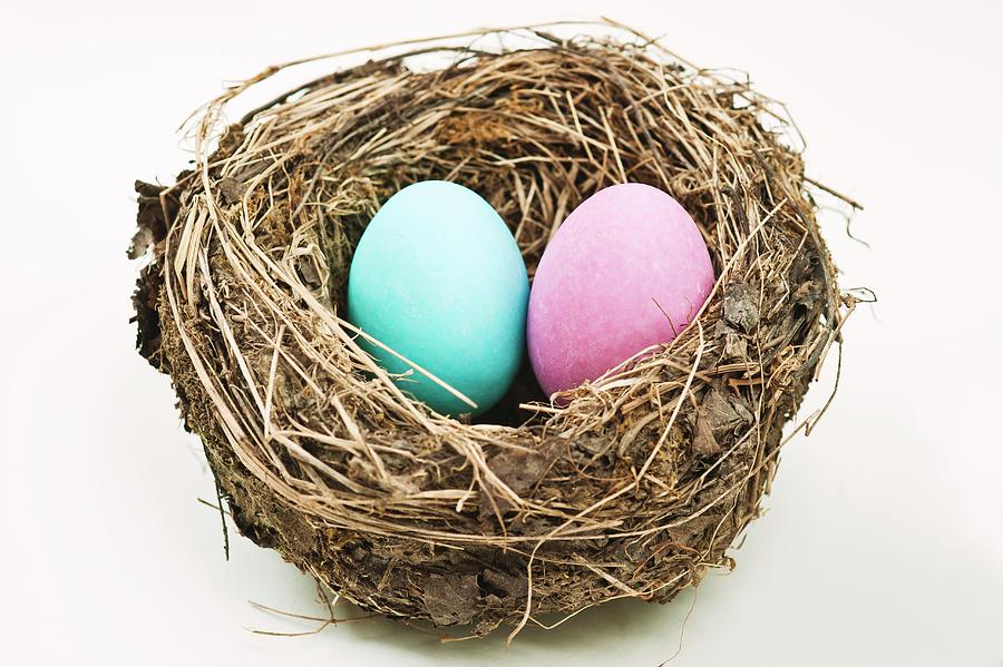 A Pink And A Blue Egg In An Empty Nest On A White Background Photograph by Linda Burgess