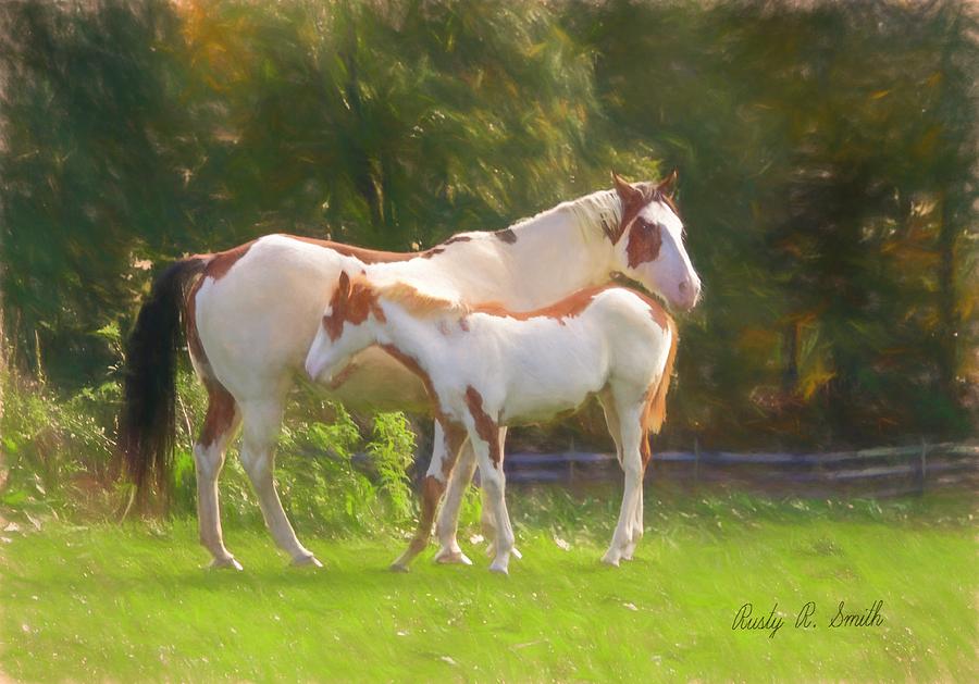 A pinto mare and her foal standing in pasture. by Rusty R Smith A pinto mare and her foal standing in pasture. by Rusty R Smith
