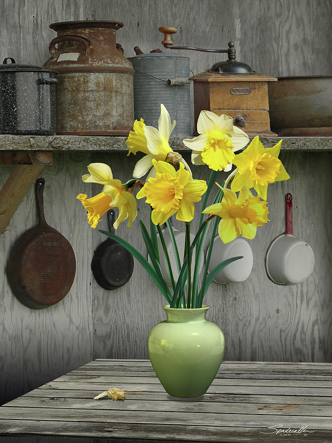 A Place for Daffodils Digital Art by M Spadecaller