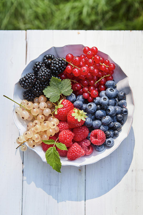 A Plate Of Different Berries On An Outdoor Table Photograph by Brigitte Sporrer