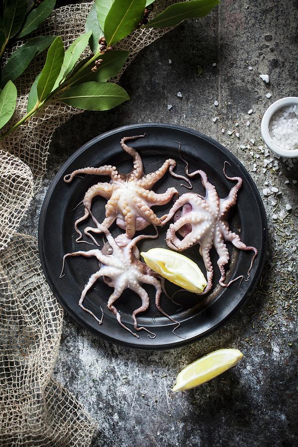 A Plate Of Fresh Baby Octopus Photograph by Malgorzata Stepien