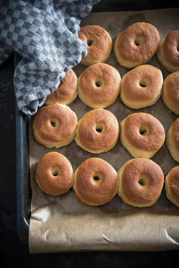 A Plate Of Fresh, Oven Baked, Doughnuts vegan Photograph by Kati Neudert