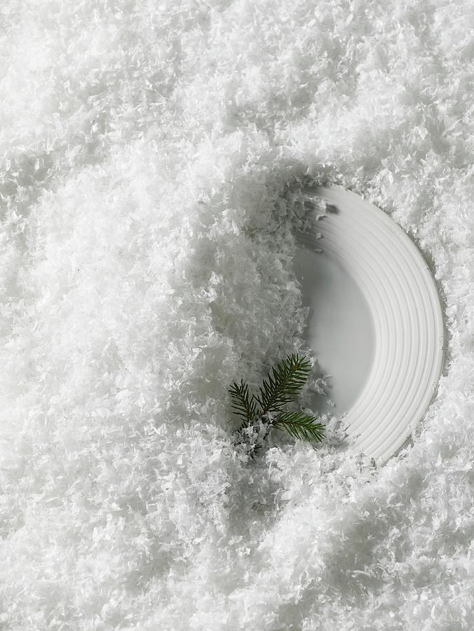 A Plate With A Fir Twig In The Snow Photograph by Luzia Ellert