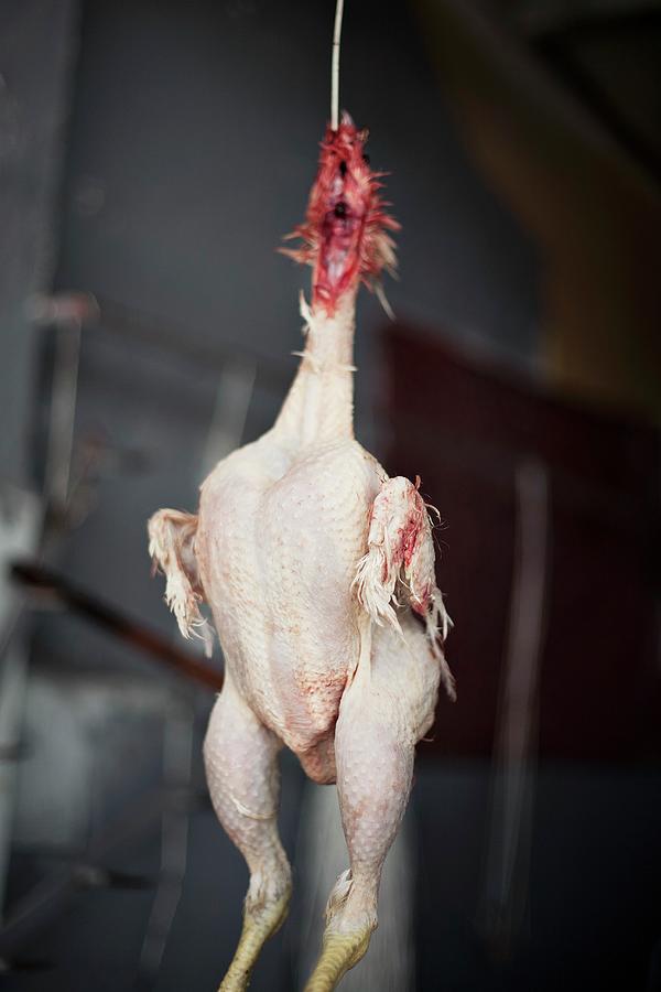 Chicken Photograph - A Plucked Chicken At A Market In Essaouira, Morocco by Ulf Svane