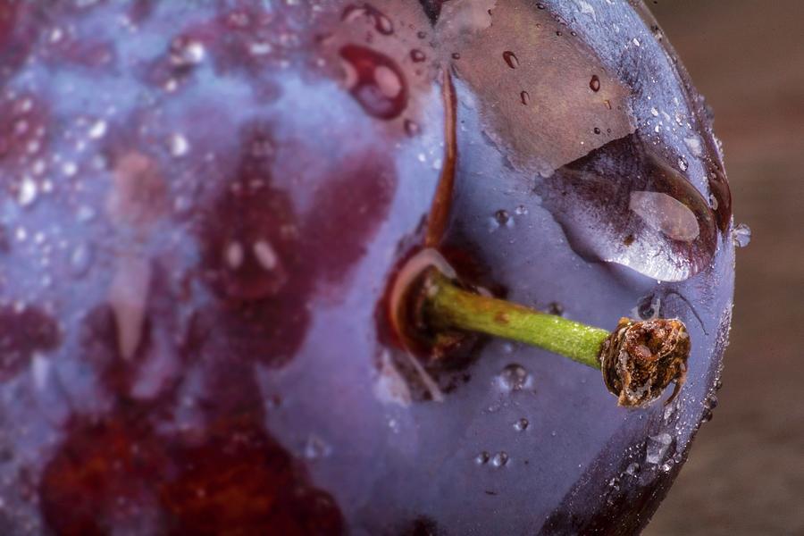 A Plum With Droplets Of Water close-up Photograph by Chris Schfer