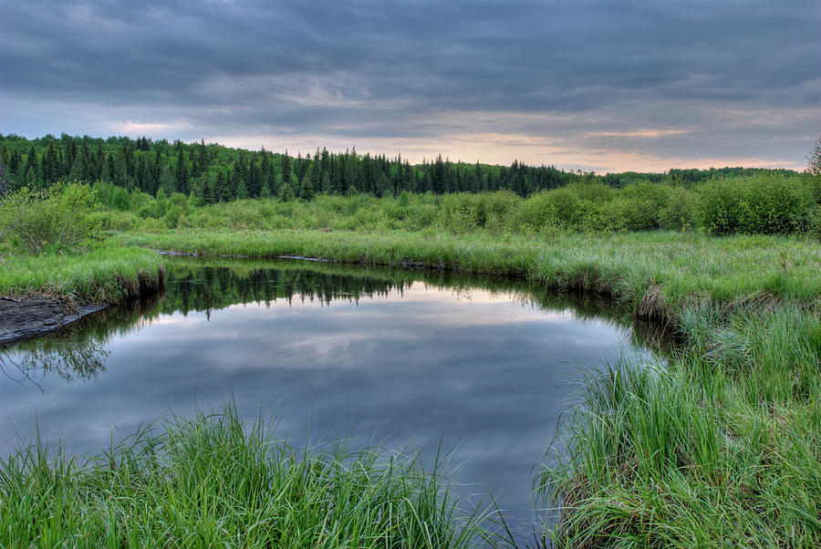 A Pond At Sunset In Prince Albert Photograph by Philippe Widling / Design Pics