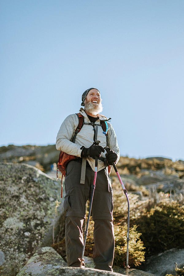 A Portrait Of A Retired And Bearded Male Hiker Above Treelike In Maine ...