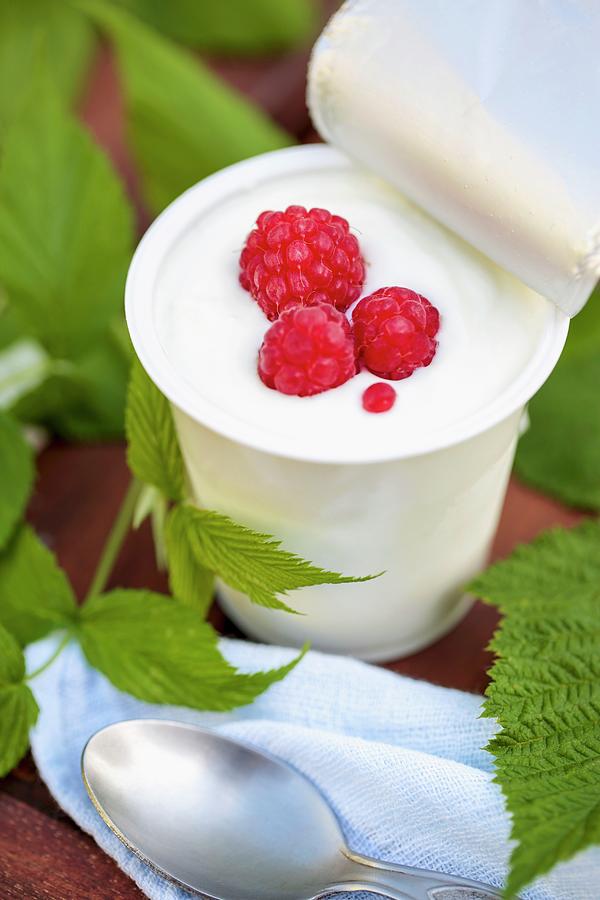 A Potato Of Sheep's Milk Yogurt With Raspberries On A Garden Table ...