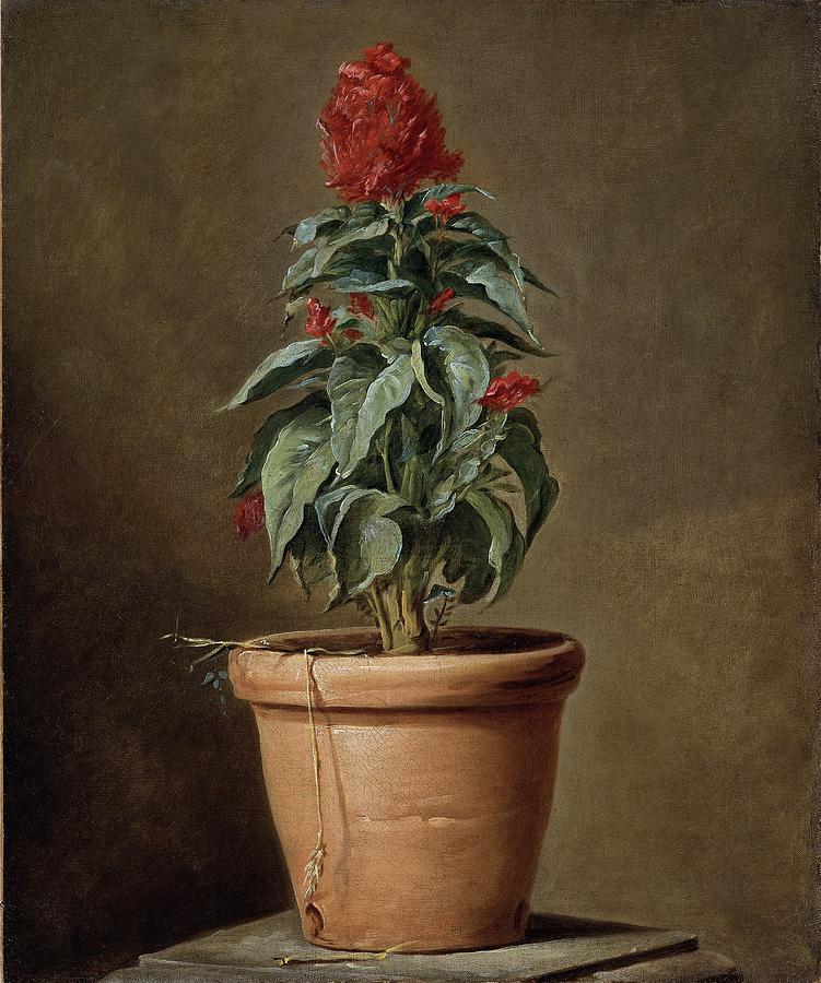 Still Life Painting - A Potted Plant by Henri-horace Roland Delaporte