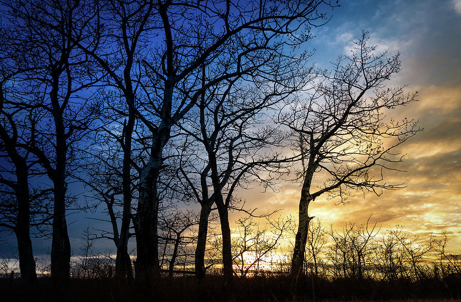 Sunset Photograph - A Prairie Winter Sunset by Phil And Karen Rispin