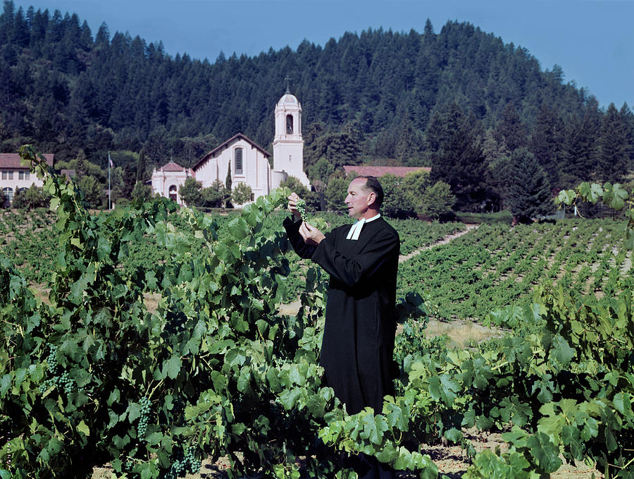 Grape Photograph - A Priest Tending A Vineyard by Tom Kelley Archive